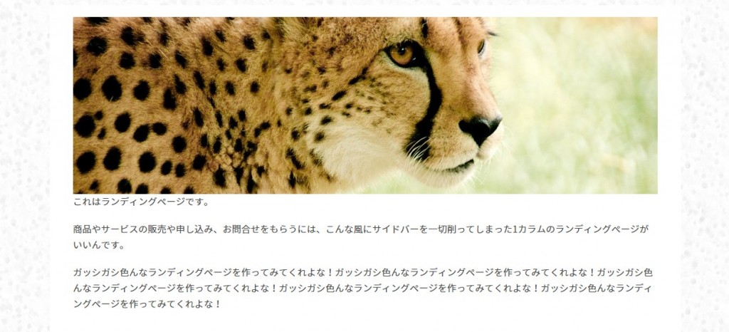LPStinger5-Cheetah