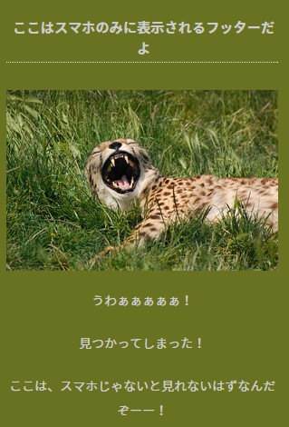 Stinger5-cheetahフッタースマホ