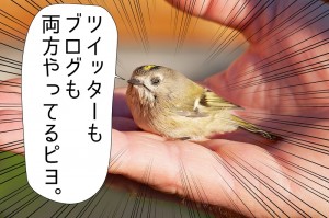 Twitterとブログ