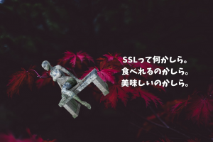 SSLってなに