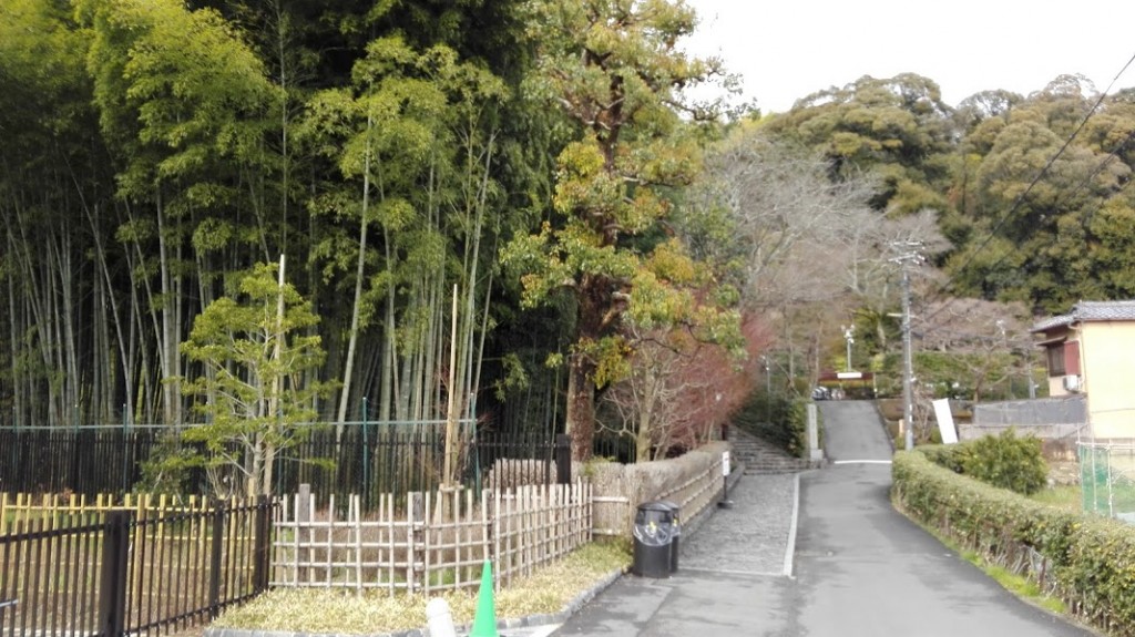 鈴虫寺への道１