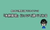 水耕栽培について調べる