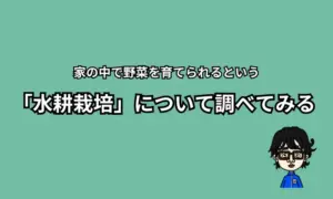 水耕栽培について調べる