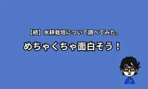 水耕栽培２